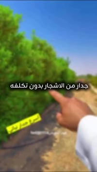 جدار أشجار • بدون تكلفة • حدائق