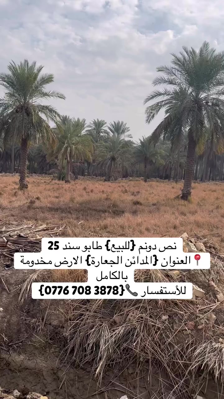 سلام عليكم نص دونم {للبيع} طابو سند 25
📍العنوان {المدائن الجعارة} 
الارض مخدومة بالكامل وجه 24 متر تبعد من السدة 300 متر
للأستفسار 📞{‭0776 708 3878‬}
