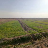 الرمادي القرية العصرية • ٢٠ دونم • عقد زراعي