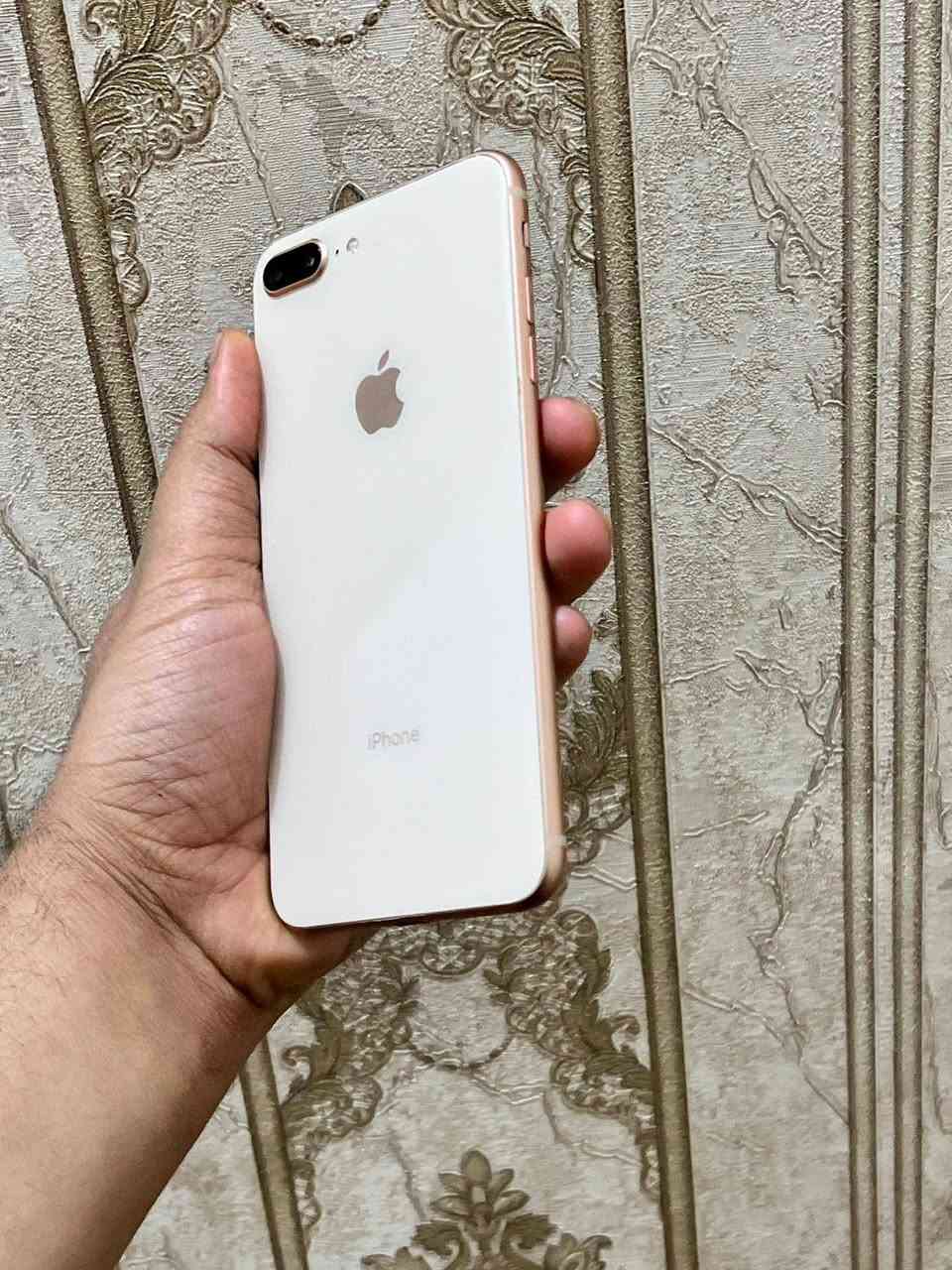 للبيع ايفون 8 بلاص ذكره 256 شاشة3 خيارات مكفول من كلشي فقط مبدل بطاريه 100اصليه
موبايل نضافته 100% مكاني ناصريه مركز السعر 115 بي مجال قليل


**إذا كنت صاحب هذا الإعلان وتريد حذفه لأي سبب، رجاءا أرسل رسالة إلى الدعم الفني**