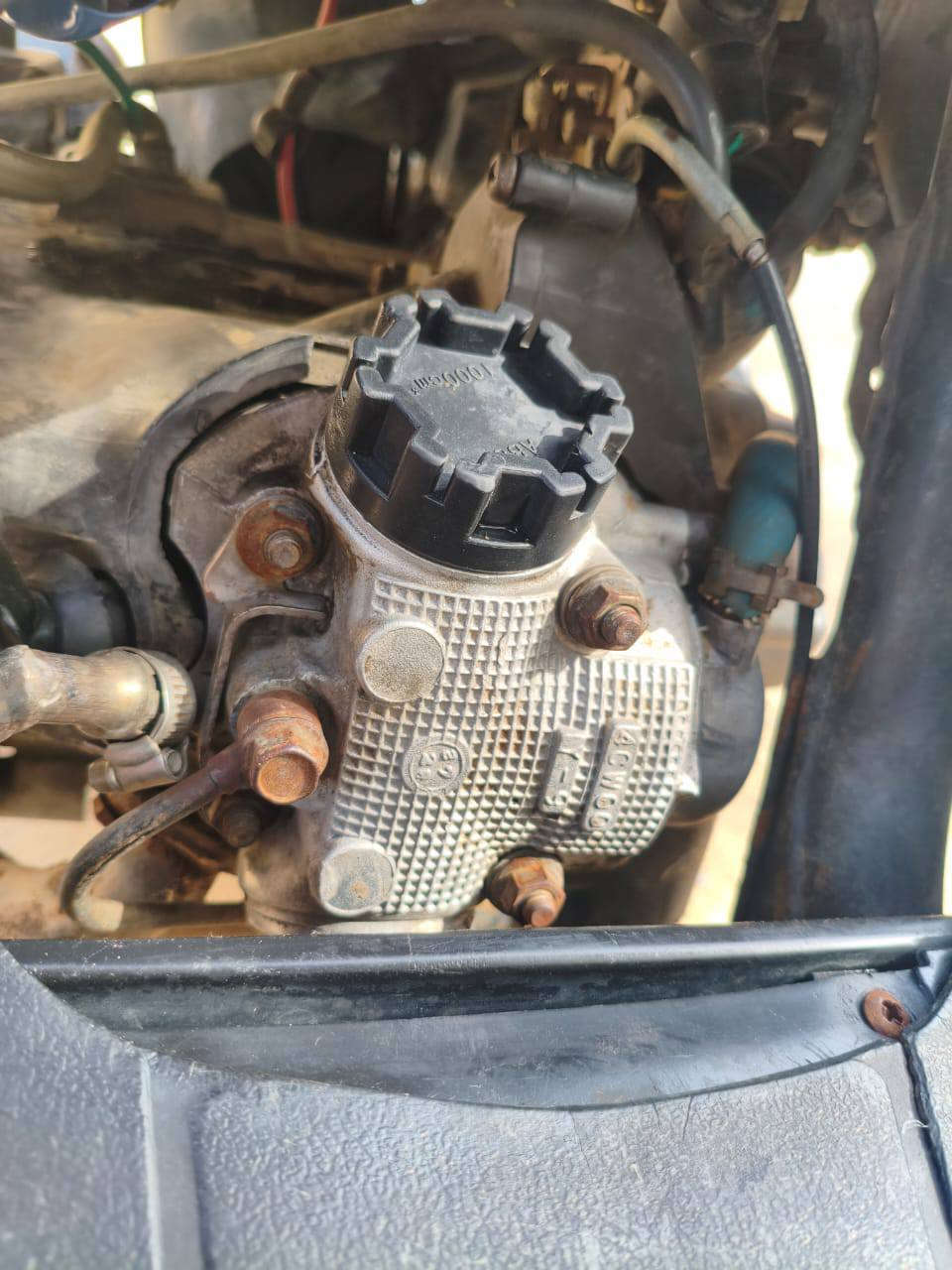 فراشه فحل للبيع شلعه حلوه كلشي شغال بيه السعر 300 وبيه مجال
***********
