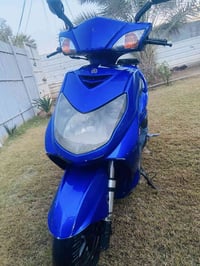 سكنس • ختم واحد • الكاضميه