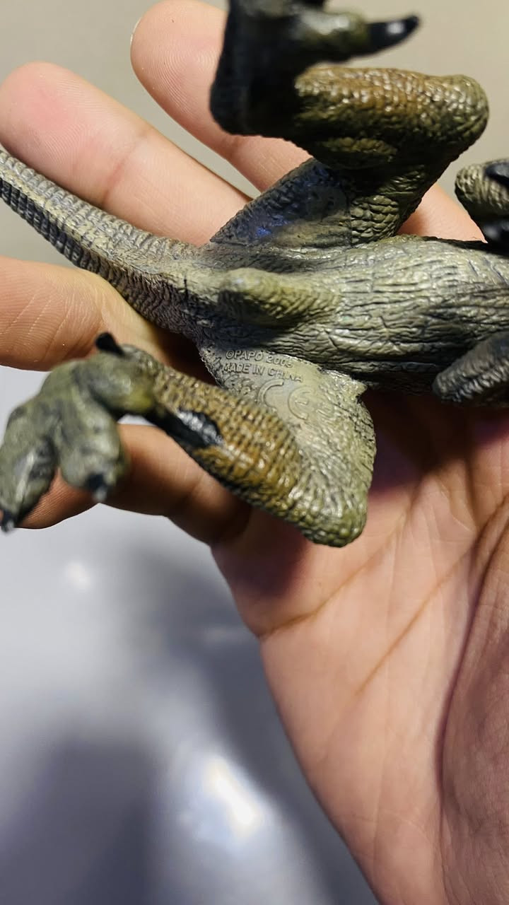 متوفر مجسمات ونواعم للبيع 👍🏼


**إذا كنت صاحب هذا الإعلان وتريد حذفه لأي سبب، رجاءا أرسل رسالة إلى الدعم الفني**