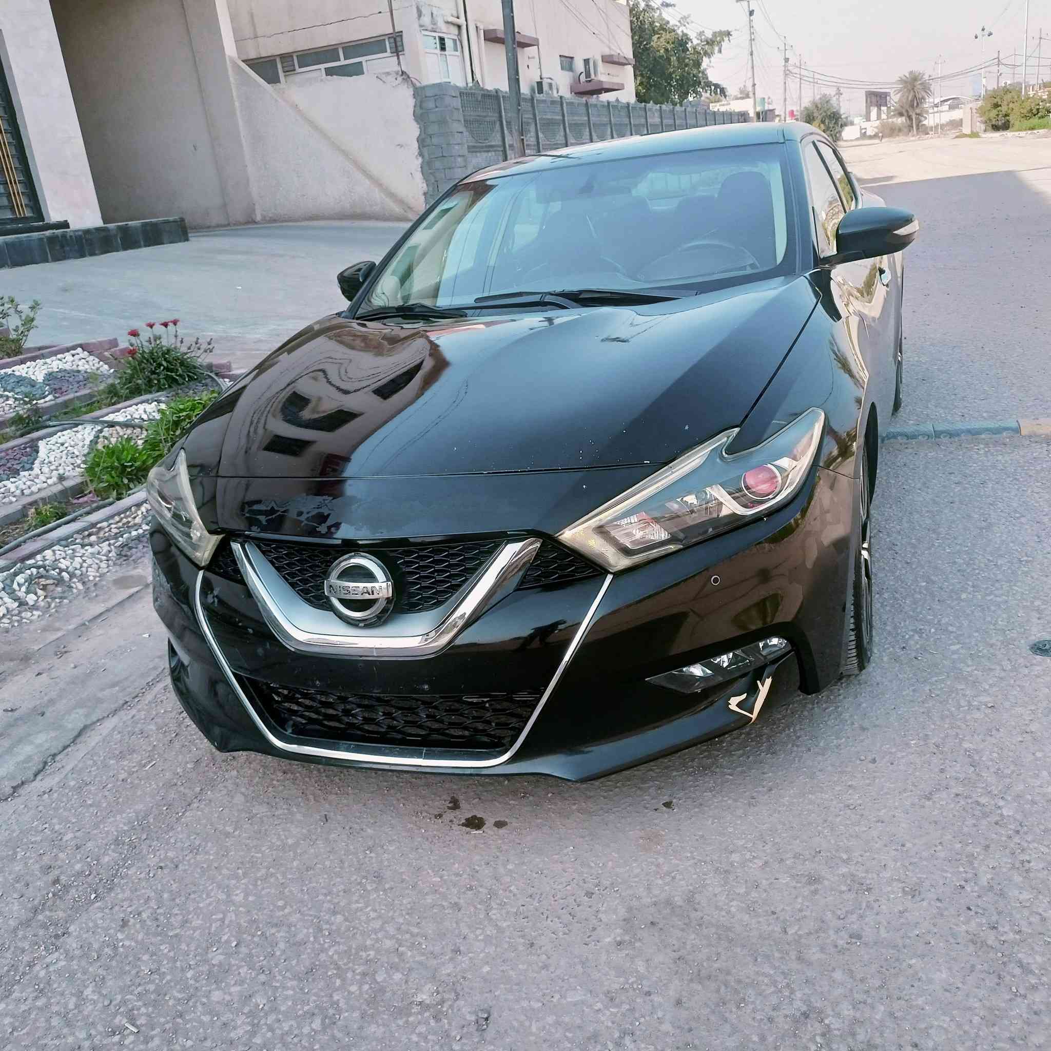 السلا عليكم
للبيع نيسان مكزيما 2018 محرك 6 سلندر 3500 وارد امريكي بيه بنيد وباب الي وره السايق فقط بدون دواخل ايرباك ستيرن فقط السياره جاهزه للخير تخم تاير جديد حداديه جديده فول مواصفات عده الفتحه محرك وكير جدد لا تنقيص ولا تبخير تدفئه تبريد خير من الله مكان السياره بابل السعر 125 وبيه مجال للشراي السياره رقم بغداد الجديد باسمي تحويل ثاني يوم 

للتواصل ***********
