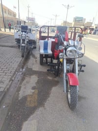 ستوته • مديل ١٩ • مكفوله