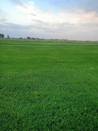 طابو زراعي • ٨ دونم • طريق السلط