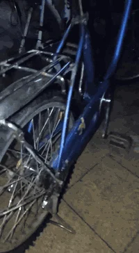 سلام عليكم
الحلال للبيع باسكل عبد الحليم تكسي حجم 20 الباسكل مال حاويه الباسكل نضيف غراضو كامله طفاريات وبريك كدام الباسكل كلشي مامبدل بيه الباسكل سعرو 45 وبي مجال خاص او رقمي ***********
