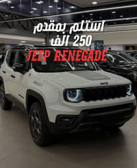 رينيجيد • ٢٠١٧ • ١٣٥٠٠٠ كم