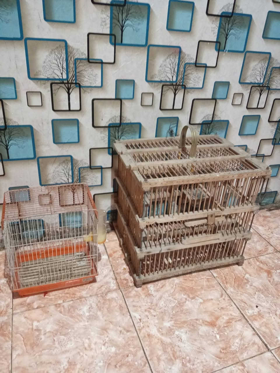 اقفاص للبيع واحد مال بلبل وثاني مال كناري 🐦🐦‍⬛
رايدهن ب20الف مكان قبله


**إذا كنت صاحب هذا الإعلان وتريد حذفه لأي سبب، رجاءا أرسل رسالة إلى الدعم الفني**