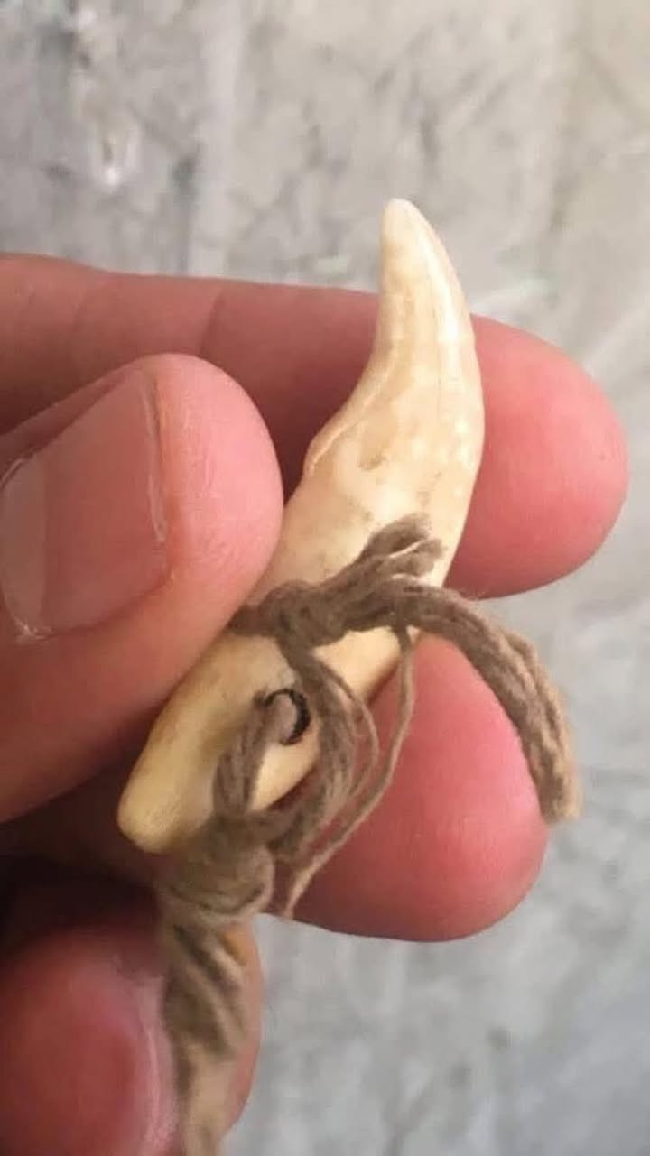 كعب الذيب فوائده لجلب الحظ وعلاج للمفاصل


**إذا كنت صاحب هذا الإعلان وتريد حذفه لأي سبب، رجاءا أرسل رسالة إلى الدعم الفني**