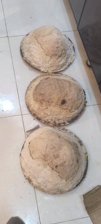 طباخ مندي طباخ دجاج بالملح طباخ دجاج مغربي متفرق للعمل جاهز اي محافظه ...