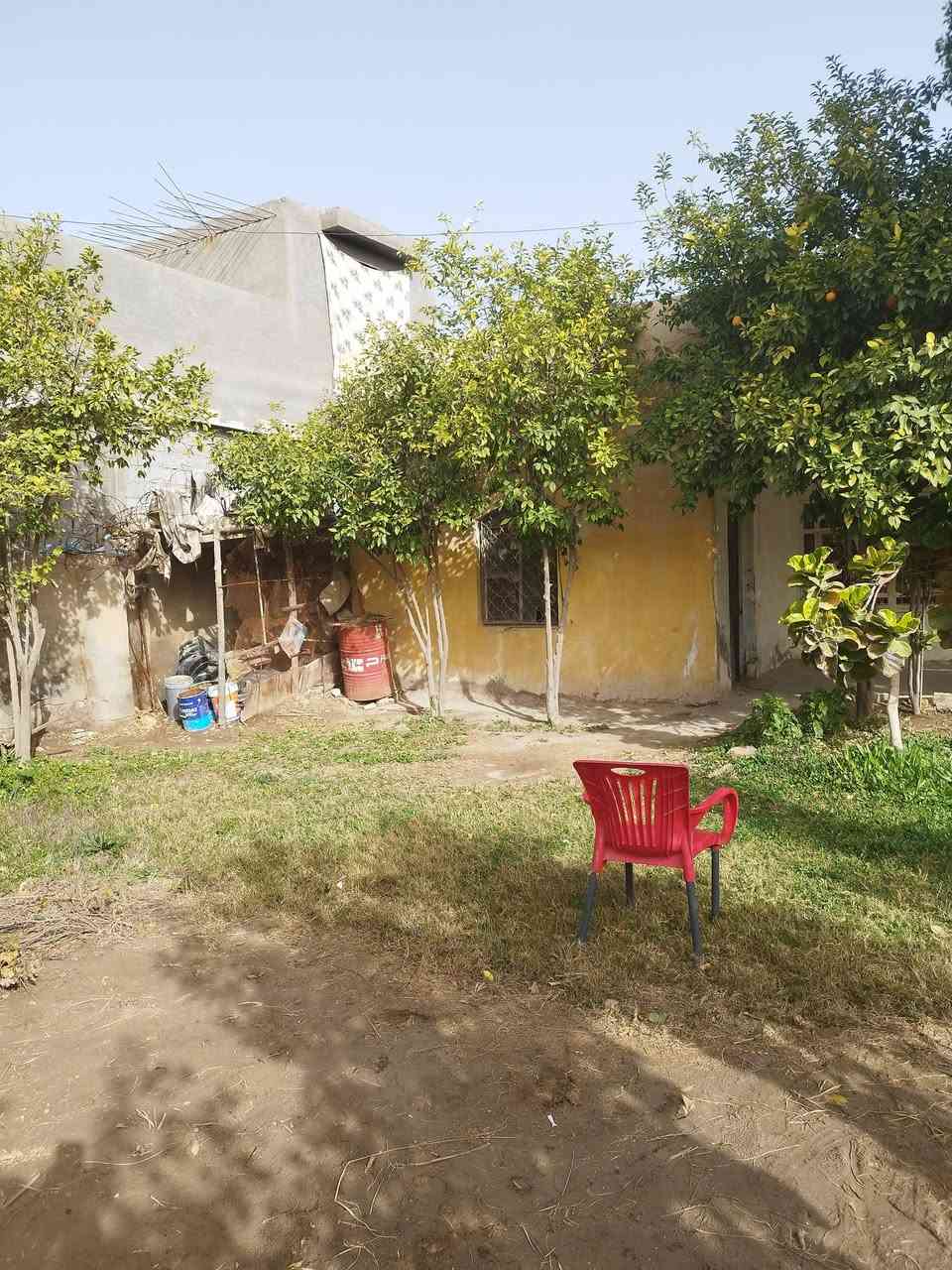 دونم طابو زراعي سند منفرد فورا مداور مع دار للبيع بناء 300 م واكثر اربع غرف نوم مطبخ حمام  تواليت صاله استقبال عكاده وكونكريت نضيف ساكنين بي كبير جدا حديقه مقدمه الدار 200 م بستان يحوي 50 نخله نشو مع تال ومكتوم كم وحده 100 حمضيات مع تين واجهه 17 م على شارع عام مقابل مدرسه العقيده فرع مبلط رئيسي 50 م تقريبا اسواق مجمع طبي مدارس كهرباء طوارئ ماء فول ساحه مقدمه دار مع تبليط الطبر السهر 110مليون مع المجال يرهم مراوس بيت طابقين اربع غرف نوم حديث موقع منتاز كربلاء المقدسه او طوريج للتواصل مع مكتب الجراح للعقار جمعيه طوريج ***********
