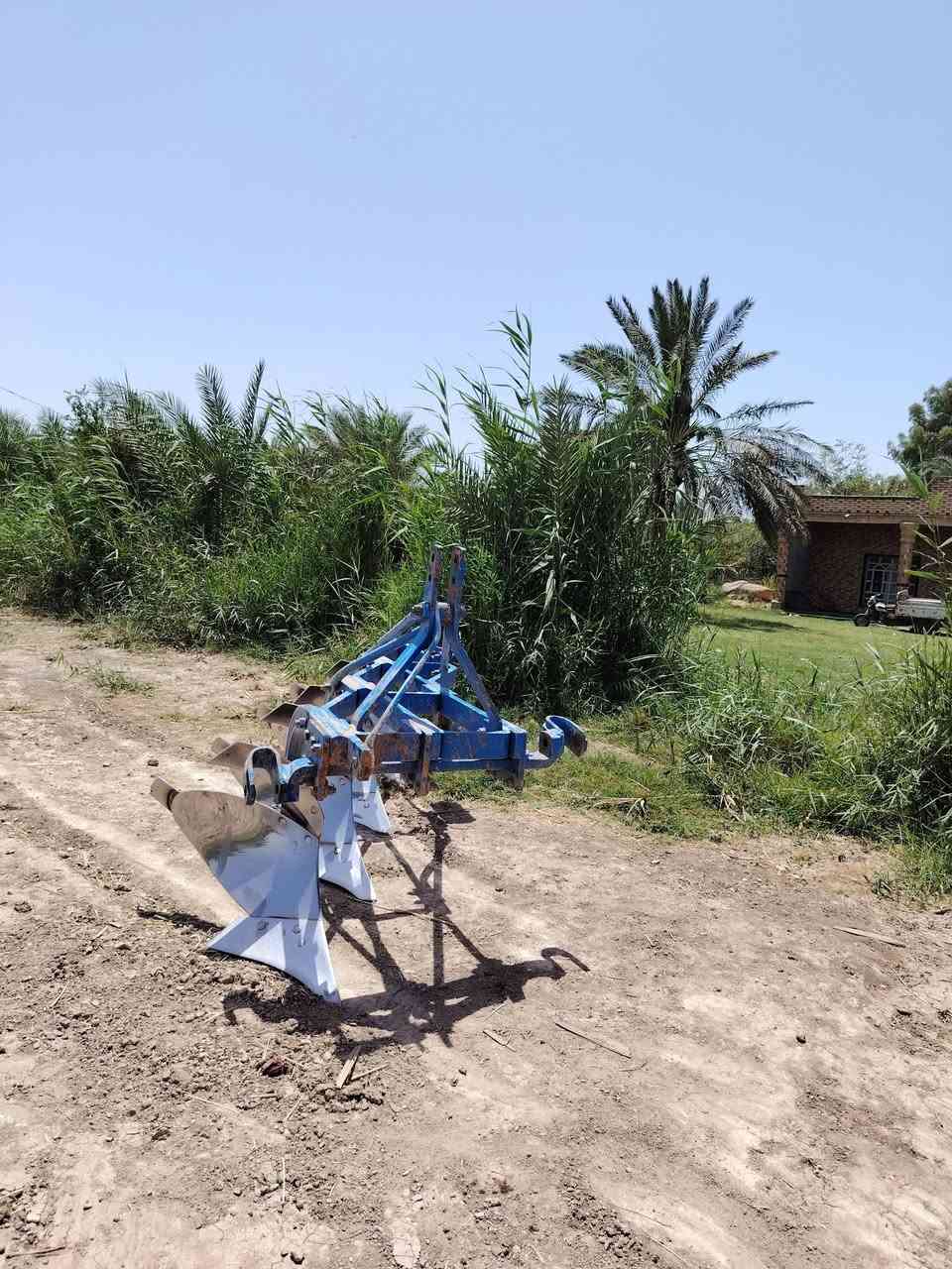 السلام عليكم تم عادت النشر فدان حجم ١٠ ريد راوس فدان حجم ١٢ برأس برأس هاذ رقمي *********** نزل صور الفدان
