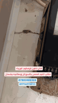 يوفر لكم مكتب المجد الزراعي المختص بكشف ومكافحة حشره الارضه والقوارض ب...