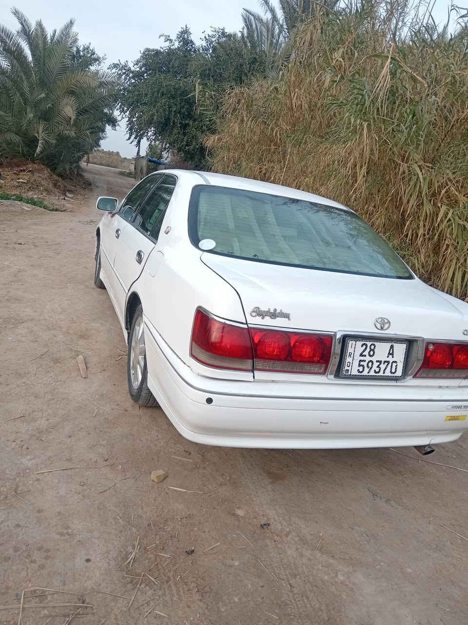 ملكه رقم نكليزي نجف مكفوله من لكص ونقل جثه مكينه ففتي دكمتين بيه ضربه بصفحت سايق  مكاني نجف العباسيه السعر وبيها مجال 120 رقم الهاتف ***********
