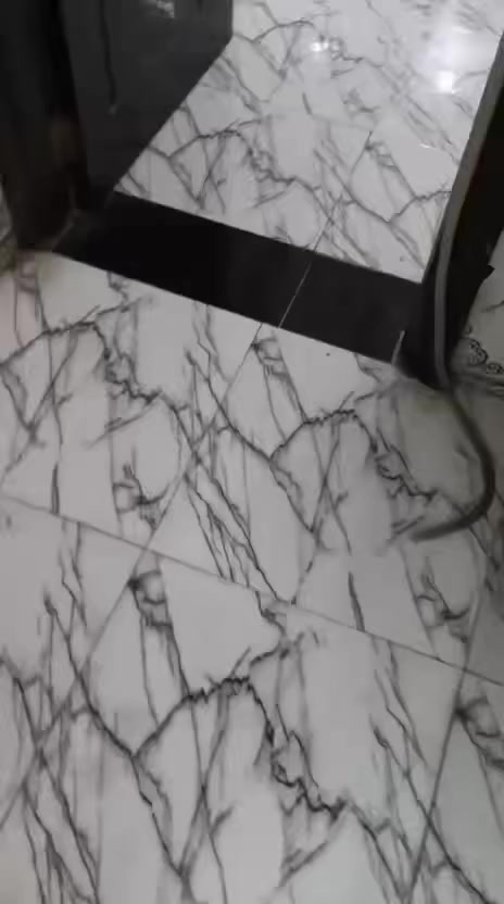 السلام عليكم عندي بيت لأجار قضاء المدينه قريب التربيه البيت شوف العين جديد وكله ديكور صفق  البيت يتكون من صاله غرفتين مطبخ كلدور حمام كراج جبير حديقه مقطورات سخان جاهز من كلشي الأجار 300الهاتف ***********
