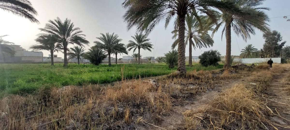 السلام عليكم 
3 دوانم ونص دونم للبيع  السعر ٣٥٥ للدونم الواحد وبيه مجال بسيط تنباع دونم ونص دونم
طابوا سند 25
الواجهه ٧٠ نزال ١٠٠_١٢٠
تبعد عن التبليط ٤٠٠ متر تقريبا 
الحر الصغير شارع مستوصف الحر الصغير بنزله الترابي الطريق الترابي الها تقريبا ٦ مترات
للاستفسار اكثر خاص او على الرقم 
***********
