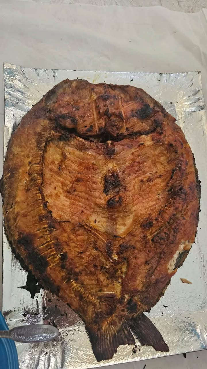 سمك مسكوف اسمك المحار (  ٧ونص) فقط
دجاج ذبح /على الفحم

على الطريقه البغدادي😍😍

العنوان...(الحولي قريب المجمع الطبي الجديد)

من جهة الشارع العام السنجك

بادارة:حسان/  *********** /

