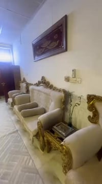 تخم ملكي • طبلات • استخدام قليل