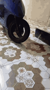 السلام عليكم دراجه للبيع عصفوريه مجفته مره وحده فقط كلتجات رياضيه جدد وصالنصه ياماها السعر 375 وبيه مجال لاستفسار ع الرقم ***********
