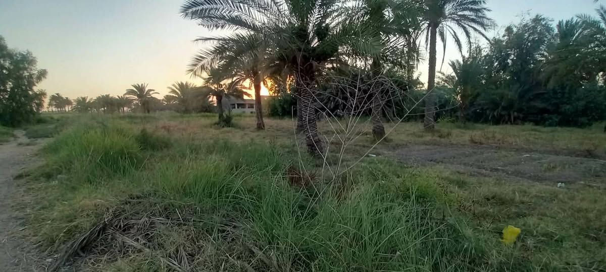 دونم طابو زراعي سند ٢٥ بين المشروع والحصوه قريب شارع العام كافة الخدمات متوفره مع بيت بناء قديم مع مضيف معزول للبيع السعر ١٥٠ وبيه مجال بسيط


**إذا كنت صاحب هذا الإعلان وتريد حذفه لأي سبب، رجاءا أرسل رسالة إلى الدعم الفني**
