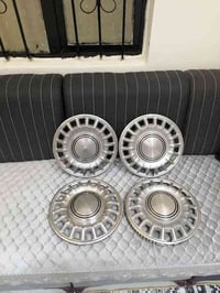 تخم كبات حجم 13   07727869759 سيد محمود