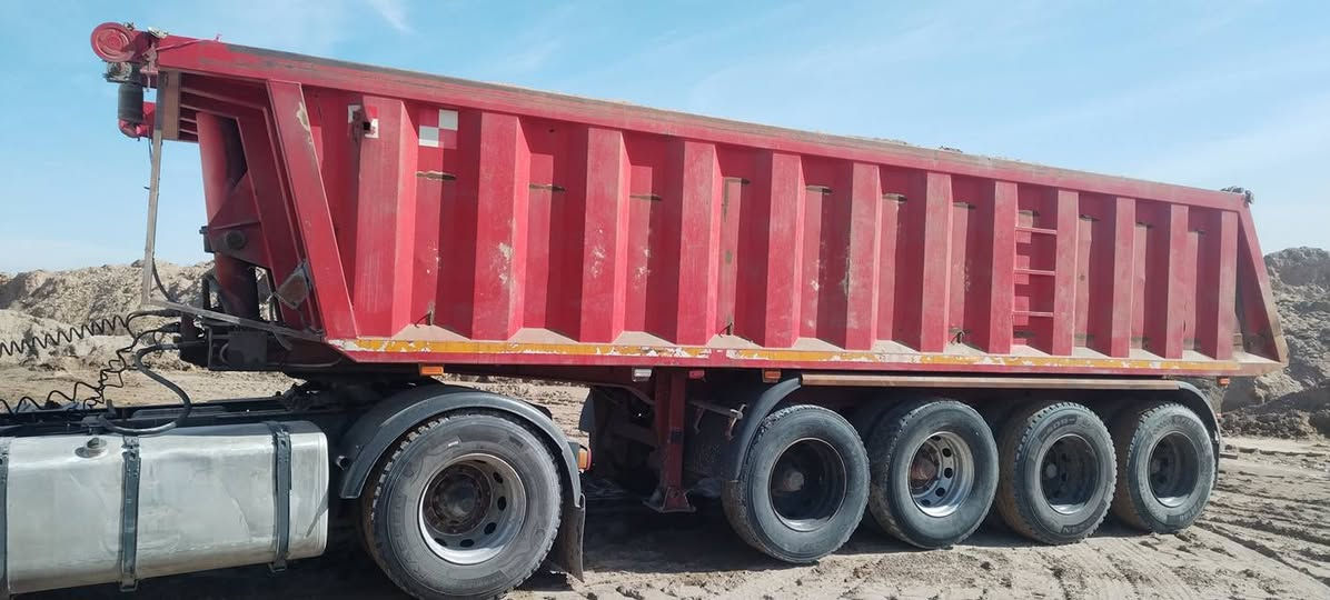 نساف الماني للبيع مكفول بلادي ***********
