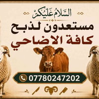 مستعدون لذبح كافه الاضاحي