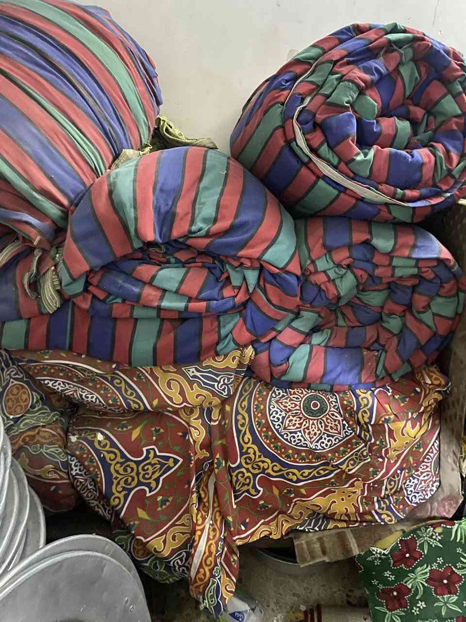 5 جوادر للبيع سعر الواحد مليون 500 نضيف مكاني بصره سفوان ***********
