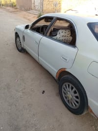 شيزر • ضربة خلفية • رقم نجف