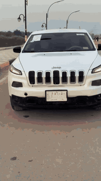 شيروكي بزون • ٢٠١٤ • ذي قار