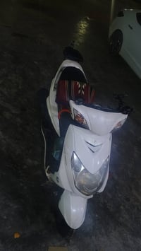 سكنس • فحل • بابل