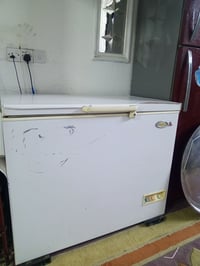 مجمدة • كرفت • المشتل