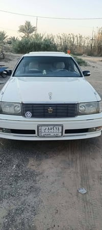 راس الثور • ابيض صدفي • نجف كوفه