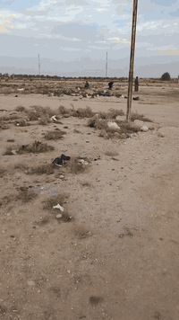 قطعه للبيع بحي السبل يم مولد زيوني صايره ع ركنين مسوي بيه وصل بلديه السعر ب ١٥ وبيه مجال *********** متواجت فقط تصال واتساب
