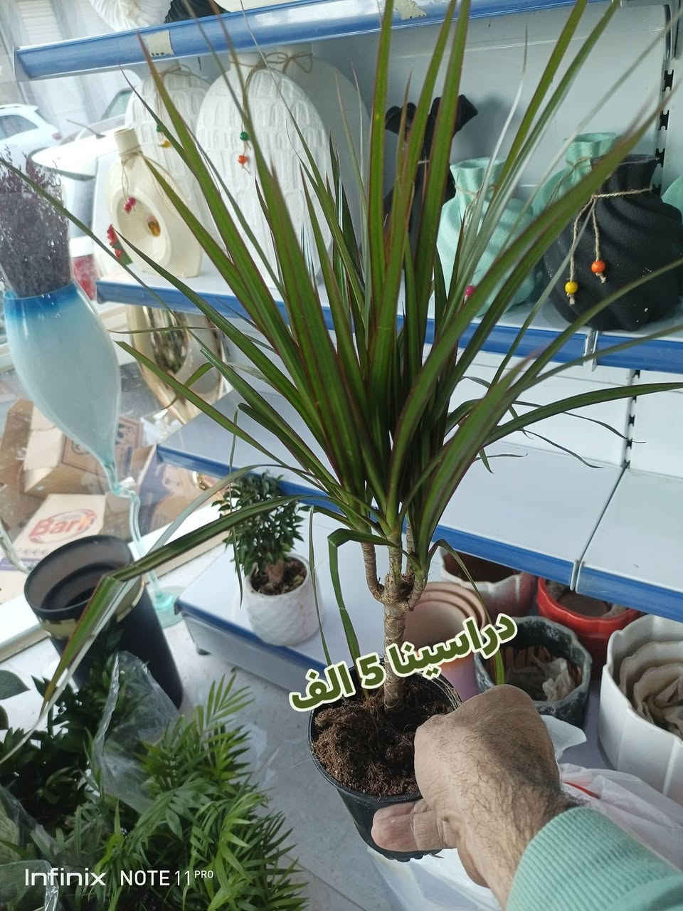 الانبار الرمادي العزيزية مكان الجديد...من جهة شارع العام  شارع ميسلون  اول فرع على اليمين *********** ... يوجد توصيل داخل الرمادي. @الجميع
