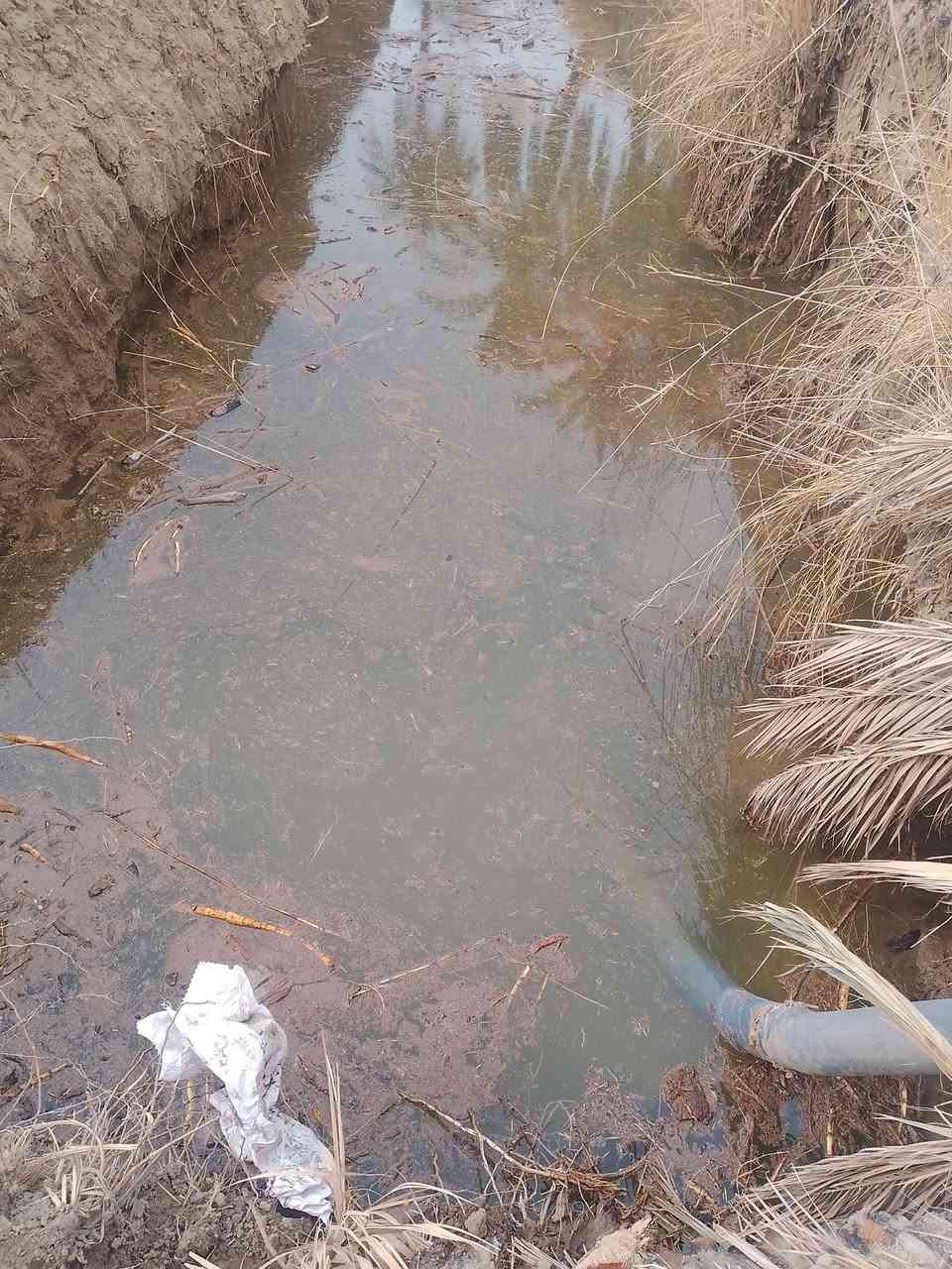 سلام عليكم رض للبيع سند 25 لمكان بابل الشوملي تبعد عن ناحيه الشوملي 5 كلو قربه على جسر شوملي دغاره منطقة لضلميه ماء متوفر شتاء وصيف لأرض صالحه 100٪100.    راح احط رقمي شراي بي خير أو يدلل /***********/
