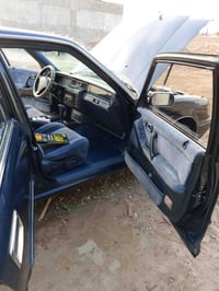 كراون ارنب • ١٩٩٢ • مصبوغ