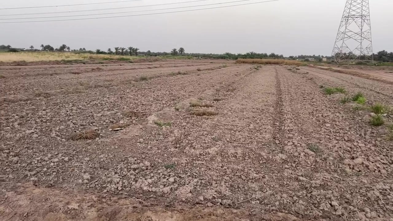 دونمين ونص الى 3 دونم طابو سند 25 
بسعر مناسب جداً 🔥

الموقع خلف جامعة بابل 
للأستفسار الأتصال ***********
