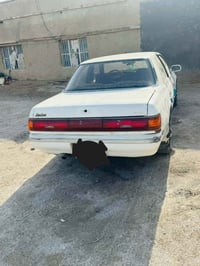 كرسته مارك عظم رقم بغداد مداور ثاني يوم مكفوله من الگص والعيب الشرعي م...