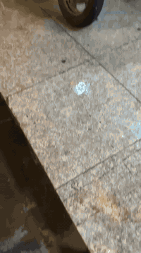 فراشه • فول مكاين • بصرة حي الخليج