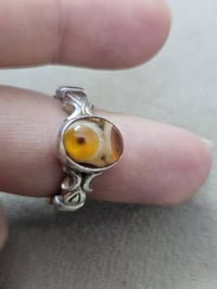 محبس فضة • سليماني • عينتين