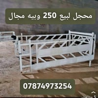 محجل • للبيع • مكلف