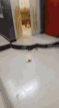 بسم الله الرحمن الرحيم
السلام عليكم 

دار للبيع طابقين كونكريت الموقع 
تضحيه حي المالكي

المساحة  100 م 

الواجهة  10 م 

النزال  10 م 

البناء  2023

الشارع  10 م

يحتوي على الطابق الأرضي / استقبال وصالة ومطبخ وغرفة وصحيات خارجية وداخلية ومنور 

الطابق الثاني  / ثلاث غرف وصالة وصحيات 
الصطح اشتايكر ومخزن 
الإستفسار على الرقم ***********
