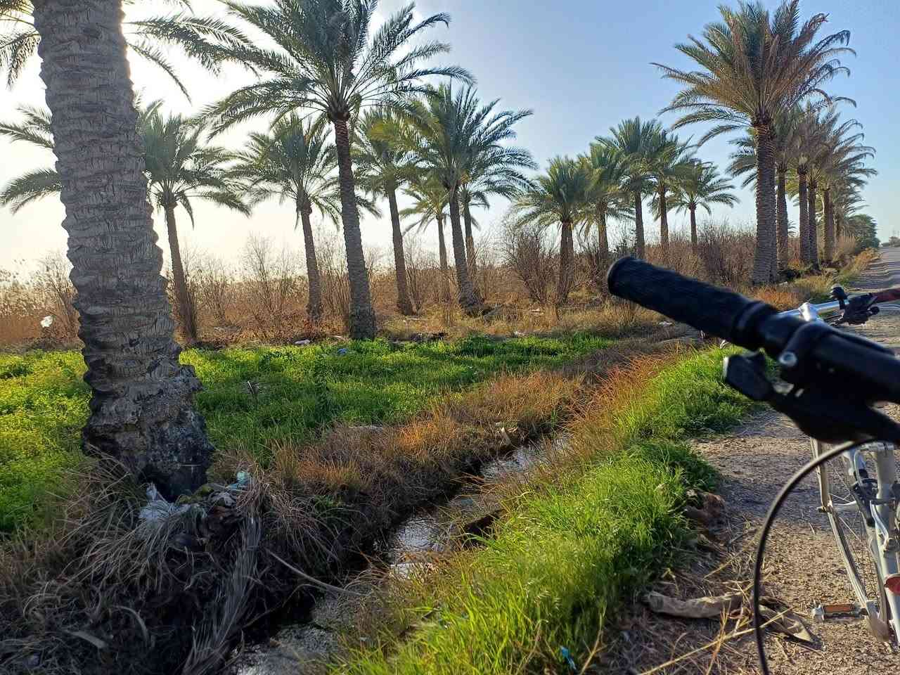 Tours in the rural areas of Yusufiyah, south of Baghdad. Distance covered approximately 35 km round trip.


**إذا كنت صاحب هذا الإعلان وتريد حذفه لأي سبب، رجاءا أرسل رسالة إلى الدعم الفني**