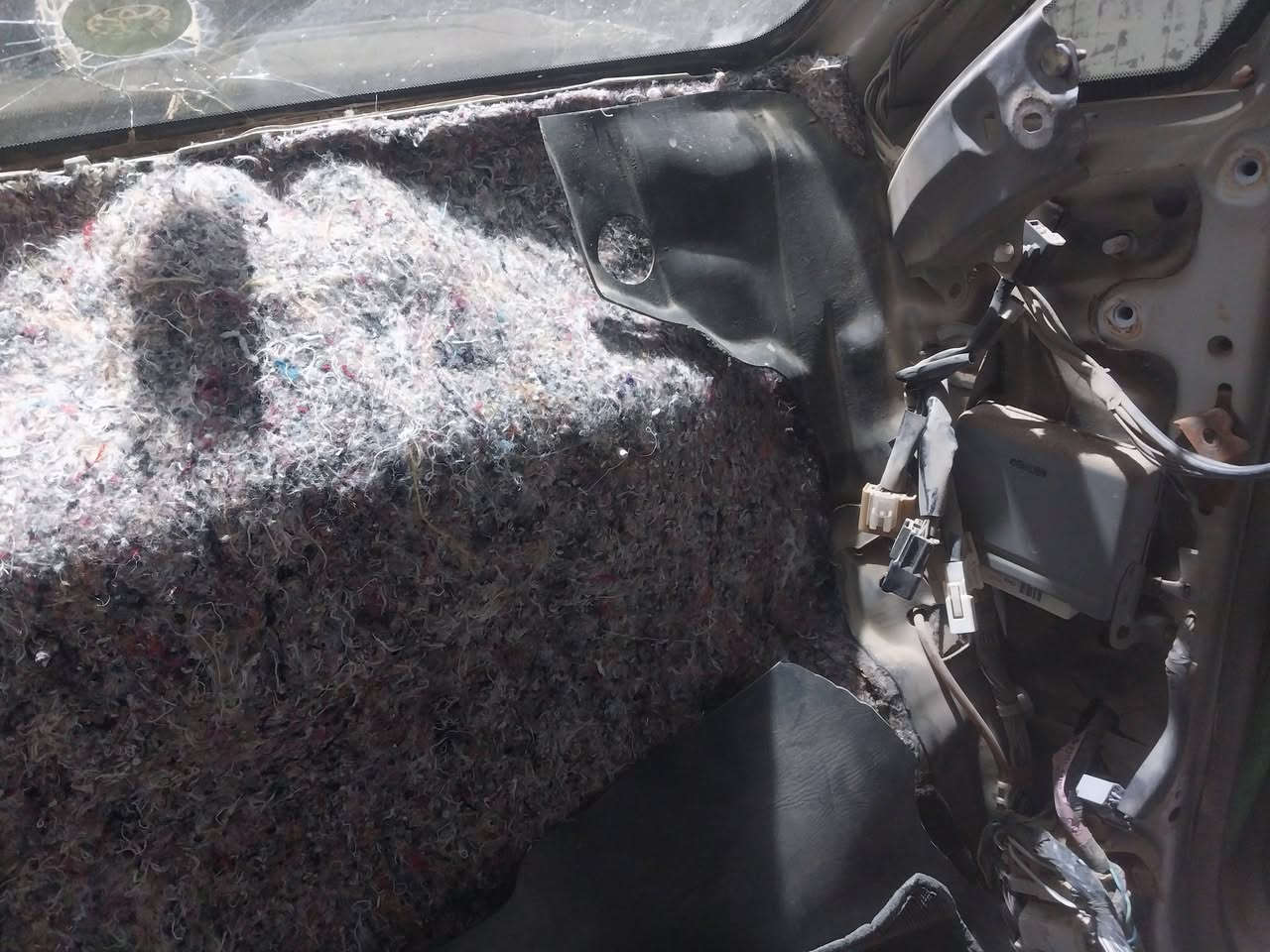 سيارة الحاج ابو زياد من اهالي الفهود يدلل الغالي 

.... 
فتح دشبول سياره ابصم 
وتغليفها ب العازل المضغوط لمنع الحراره وصوت المكينه 

مع ضبط الفابريتا ب الكامل. وتقسيم الهواء بصوره صحيحه 

مع غسل وتنضيف الفريز الداخلي من التكلسات والاتربه 

 وشحن الغاز الاصلي...  

 مع تبديل (طخم واير للضفيره وتغليف الضفيره ب التيب الاصلي الحراري.) حسب الطلب ...  

ا

لعنوان ناصريه سوق الشيوخ 

تقاطع الوائلي مقابليل محلات المله 

للاستفسار. اتصال.

وفي الحجامي 

 ***********

 او على الخاص

