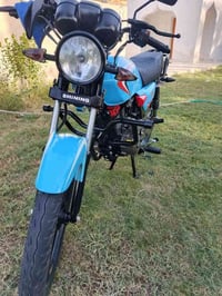 شانك • جديده • اوراق اصلية