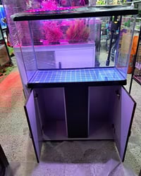 حوض 80سم • مع ميز • فلاتر سقفيه