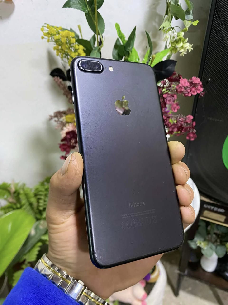 سلام عليكم … مكاني كركوك

جهاز ايفون 7 بلاص نموذج M امريكي لون اسود فحمي ذاكره 128 كيكه بطاريه 63 جهاز كل جسمه بلادي مامبدل بي اي شي او ماتصرف شحن شرط حيل نظيف كل جسمه شغال كامرات دمعه بصمه سيم كارت بشرط للبيع سعر 90 الف شراي اتصل ***********
