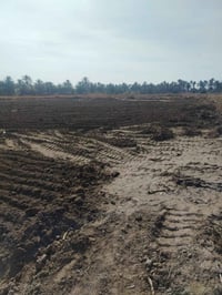 طابو زراعي • ٥٦٠٠م • تحويل باسم المشتري
